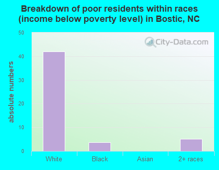 Breakdown of poor residents within races (income below poverty level) in Bostic, NC