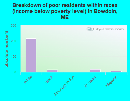 Breakdown of poor residents within races (income below poverty level) in Bowdoin, ME