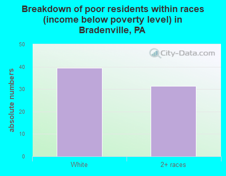 Breakdown of poor residents within races (income below poverty level) in Bradenville, PA