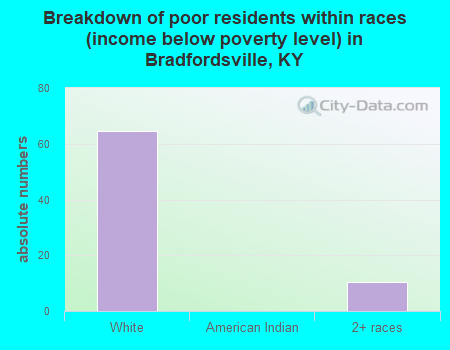 Breakdown of poor residents within races (income below poverty level) in Bradfordsville, KY