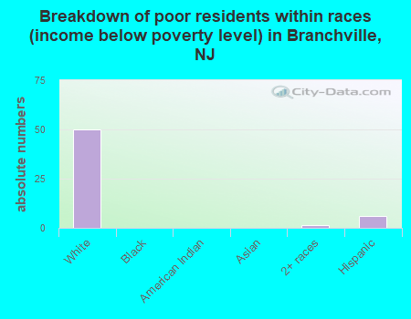 Breakdown of poor residents within races (income below poverty level) in Branchville, NJ
