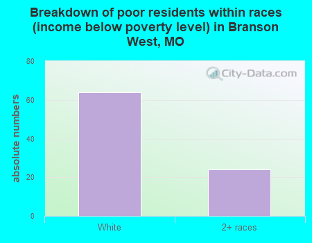 Breakdown of poor residents within races (income below poverty level) in Branson West, MO