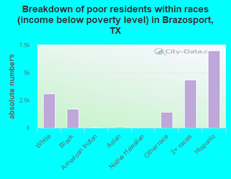 Breakdown of poor residents within races (income below poverty level) in Brazosport, TX
