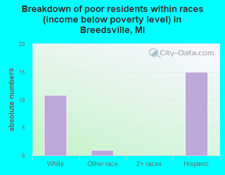 Breakdown of poor residents within races (income below poverty level) in Breedsville, MI