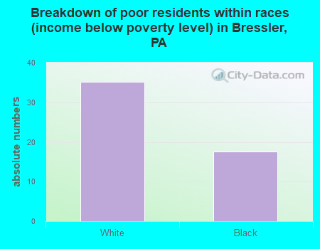 Breakdown of poor residents within races (income below poverty level) in Bressler, PA