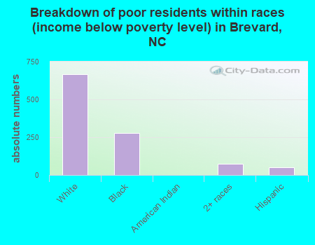 Breakdown of poor residents within races (income below poverty level) in Brevard, NC