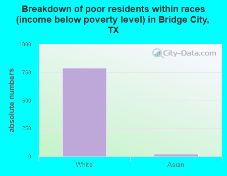 Breakdown of poor residents within races (income below poverty level) in Bridge City, TX
