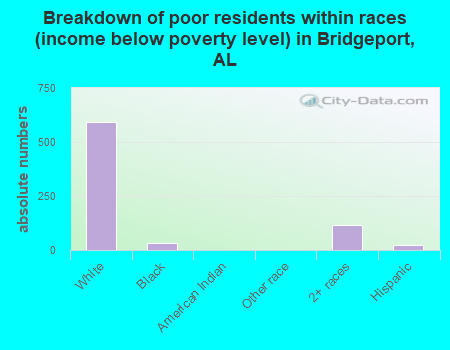 Breakdown of poor residents within races (income below poverty level) in Bridgeport, AL