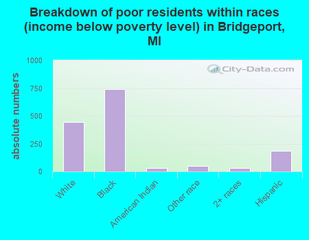 Breakdown of poor residents within races (income below poverty level) in Bridgeport, MI
