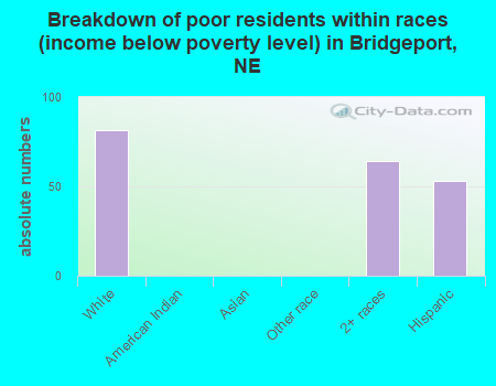 Breakdown of poor residents within races (income below poverty level) in Bridgeport, NE