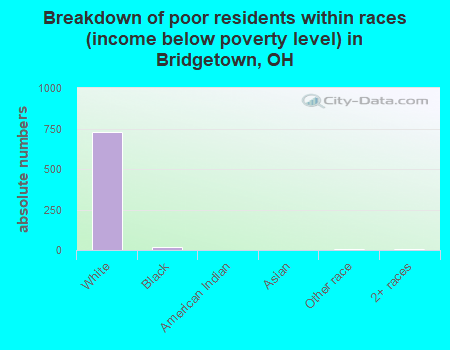 Breakdown of poor residents within races (income below poverty level) in Bridgetown, OH