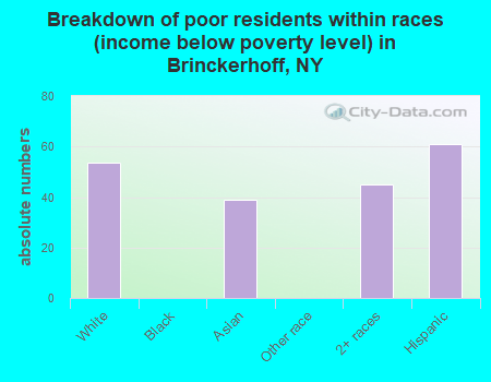 Breakdown of poor residents within races (income below poverty level) in Brinckerhoff, NY