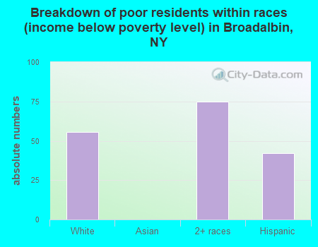 Breakdown of poor residents within races (income below poverty level) in Broadalbin, NY