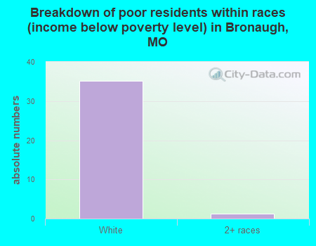 Breakdown of poor residents within races (income below poverty level) in Bronaugh, MO