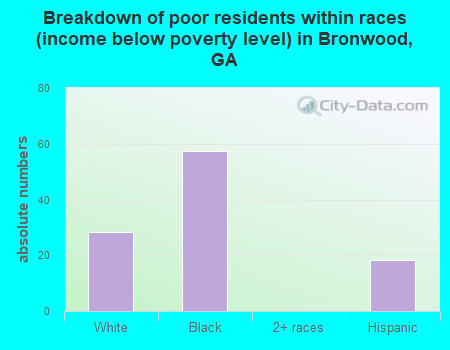 Breakdown of poor residents within races (income below poverty level) in Bronwood, GA