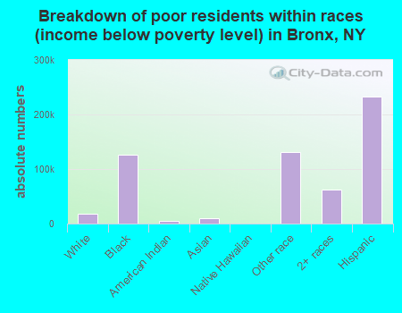 Breakdown of poor residents within races (income below poverty level) in Bronx, NY