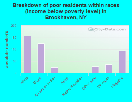 Breakdown of poor residents within races (income below poverty level) in Brookhaven, NY