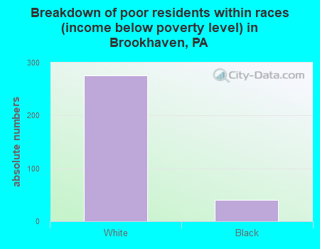 Breakdown of poor residents within races (income below poverty level) in Brookhaven, PA