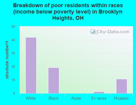 Breakdown of poor residents within races (income below poverty level) in Brooklyn Heights, OH