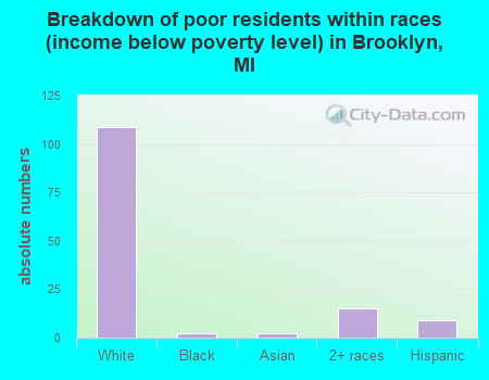 Breakdown of poor residents within races (income below poverty level) in Brooklyn, MI