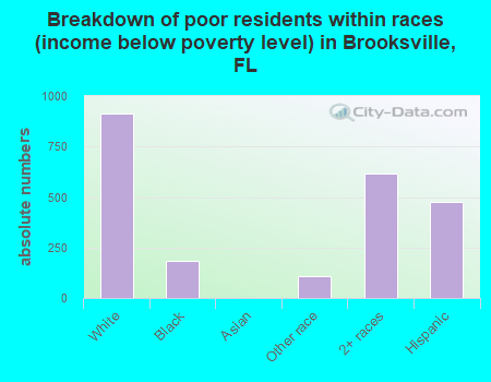 Breakdown of poor residents within races (income below poverty level) in Brooksville, FL