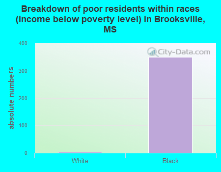 Breakdown of poor residents within races (income below poverty level) in Brooksville, MS