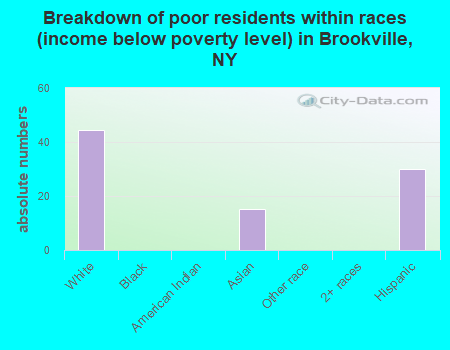 Breakdown of poor residents within races (income below poverty level) in Brookville, NY
