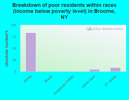 Breakdown of poor residents within races (income below poverty level) in Broome, NY