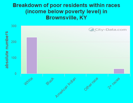 Breakdown of poor residents within races (income below poverty level) in Brownsville, KY