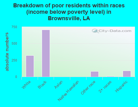 Breakdown of poor residents within races (income below poverty level) in Brownsville, LA