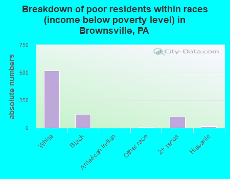 Breakdown of poor residents within races (income below poverty level) in Brownsville, PA