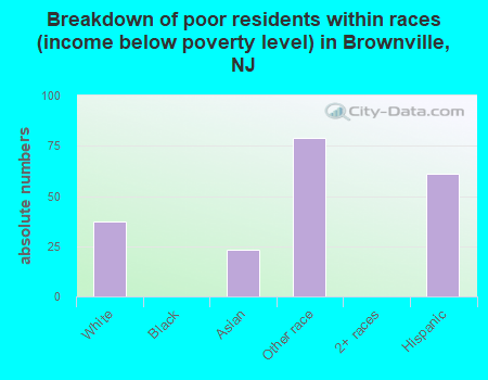 Breakdown of poor residents within races (income below poverty level) in Brownville, NJ