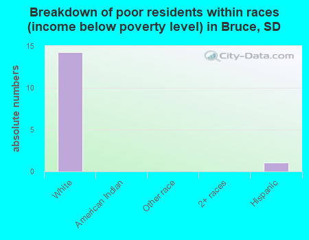 Breakdown of poor residents within races (income below poverty level) in Bruce, SD