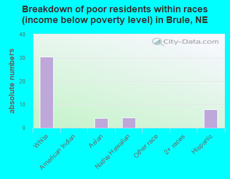 Breakdown of poor residents within races (income below poverty level) in Brule, NE