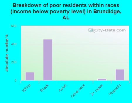 Breakdown of poor residents within races (income below poverty level) in Brundidge, AL