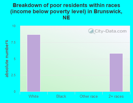 Breakdown of poor residents within races (income below poverty level) in Brunswick, NE