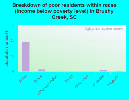 Breakdown of poor residents within races (income below poverty level) in Brushy Creek, SC