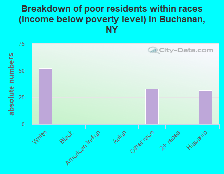 Breakdown of poor residents within races (income below poverty level) in Buchanan, NY