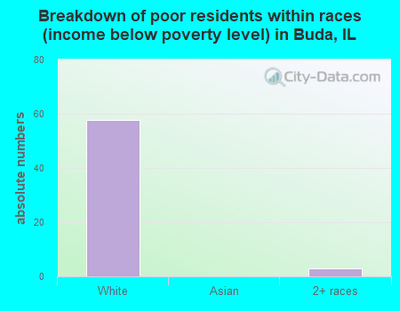 Breakdown of poor residents within races (income below poverty level) in Buda, IL