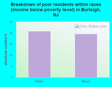 Breakdown of poor residents within races (income below poverty level) in Burleigh, NJ