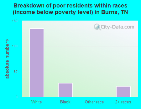 Breakdown of poor residents within races (income below poverty level) in Burns, TN