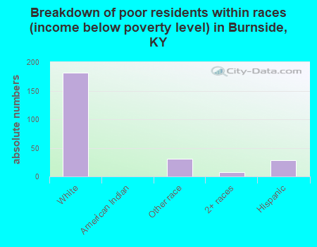 Breakdown of poor residents within races (income below poverty level) in Burnside, KY