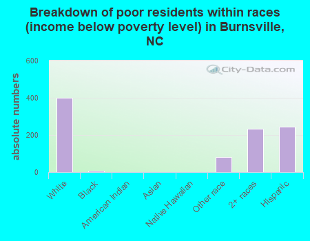 Breakdown of poor residents within races (income below poverty level) in Burnsville, NC