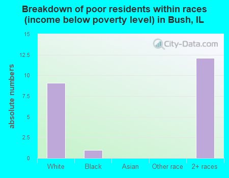 Breakdown of poor residents within races (income below poverty level) in Bush, IL