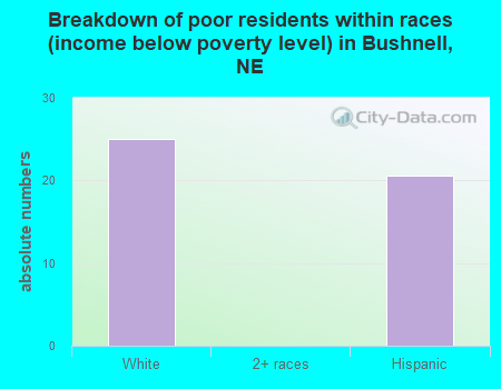Breakdown of poor residents within races (income below poverty level) in Bushnell, NE