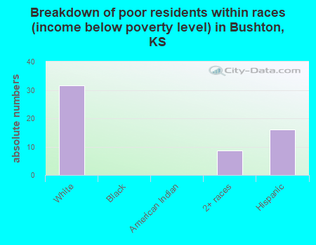 Breakdown of poor residents within races (income below poverty level) in Bushton, KS