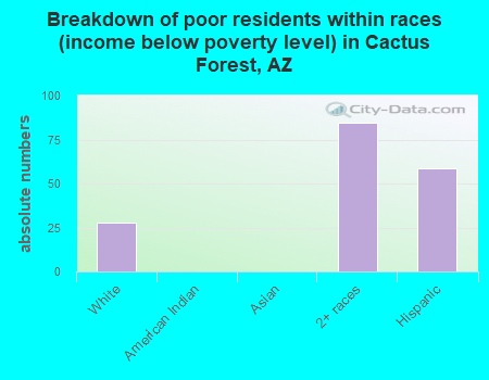Breakdown of poor residents within races (income below poverty level) in Cactus Forest, AZ