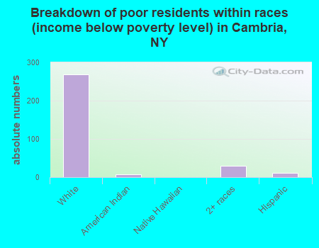 Breakdown of poor residents within races (income below poverty level) in Cambria, NY