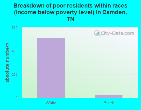 Breakdown of poor residents within races (income below poverty level) in Camden, TN