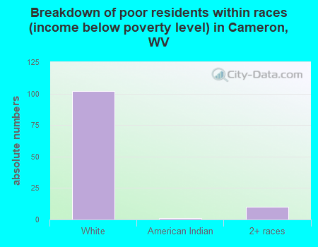 Breakdown of poor residents within races (income below poverty level) in Cameron, WV